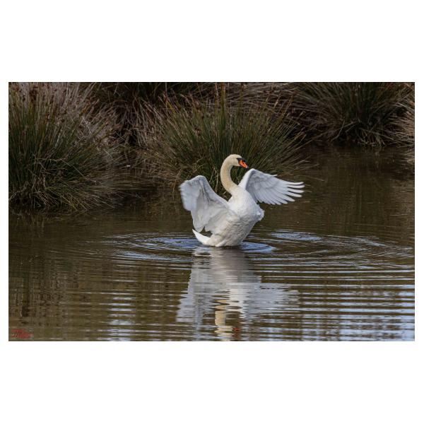 PHOTO84, CLUB, 84 , LUBERON